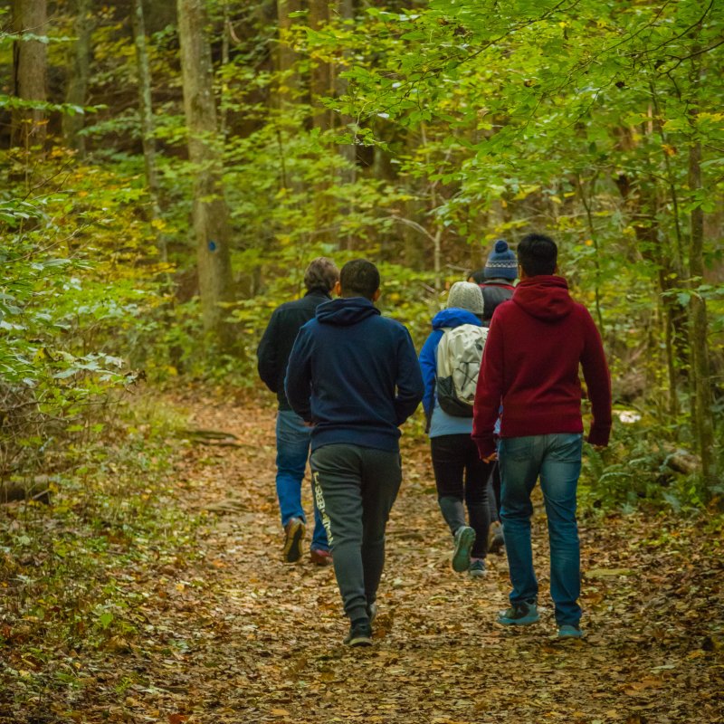 Group walking on a leafy forest path in autumn.