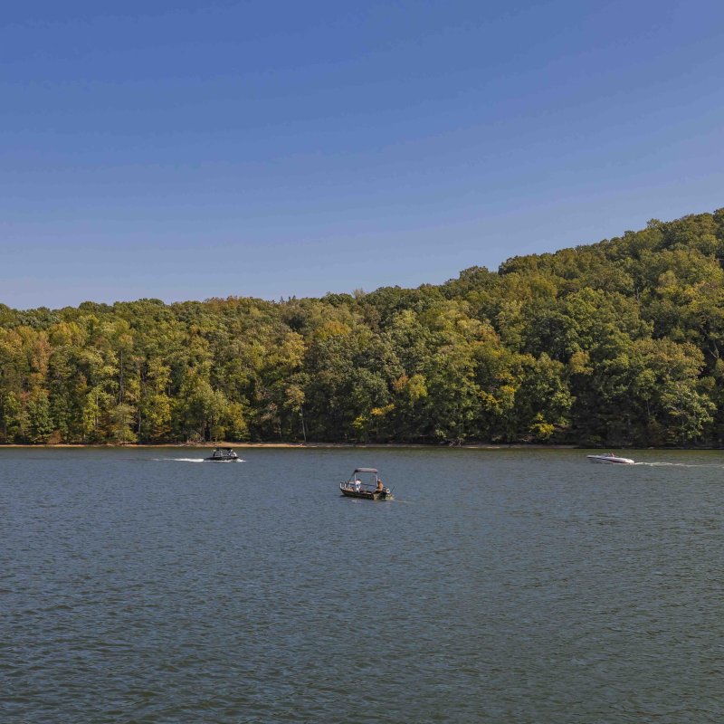 Three boats on a lake with a forested hill in the background.