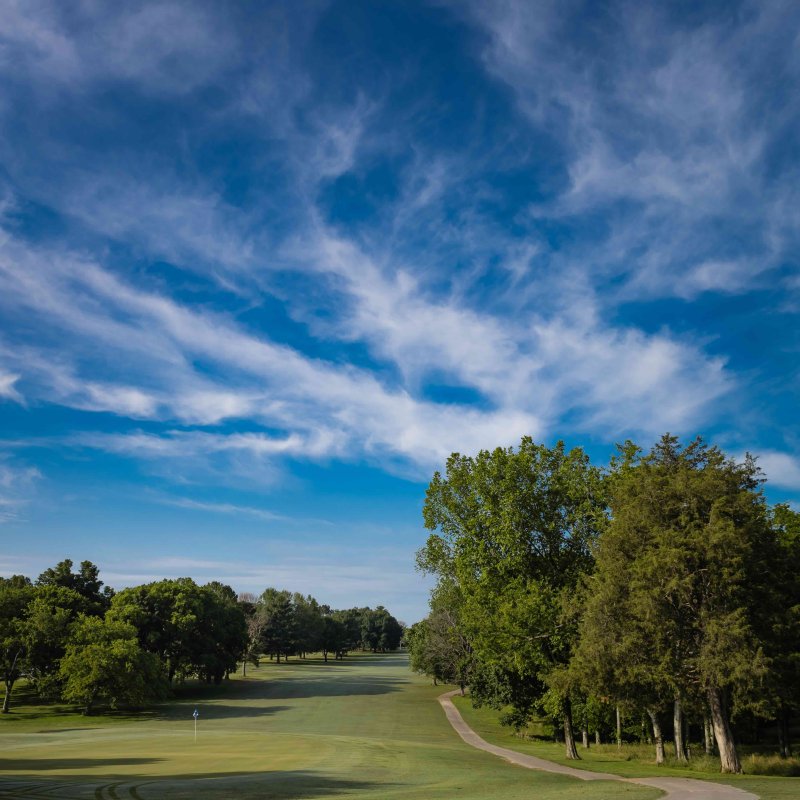 Curved path through a lush park with vibrant blue sky and scattered clouds.
