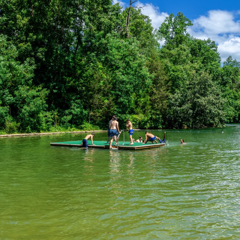 People stand on a wooden platform on a lake, with lush trees in the background.