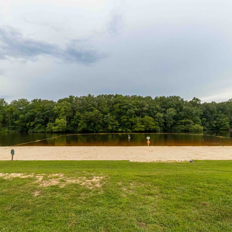 Lush park with sandy beach by a lake, two people in the distance.