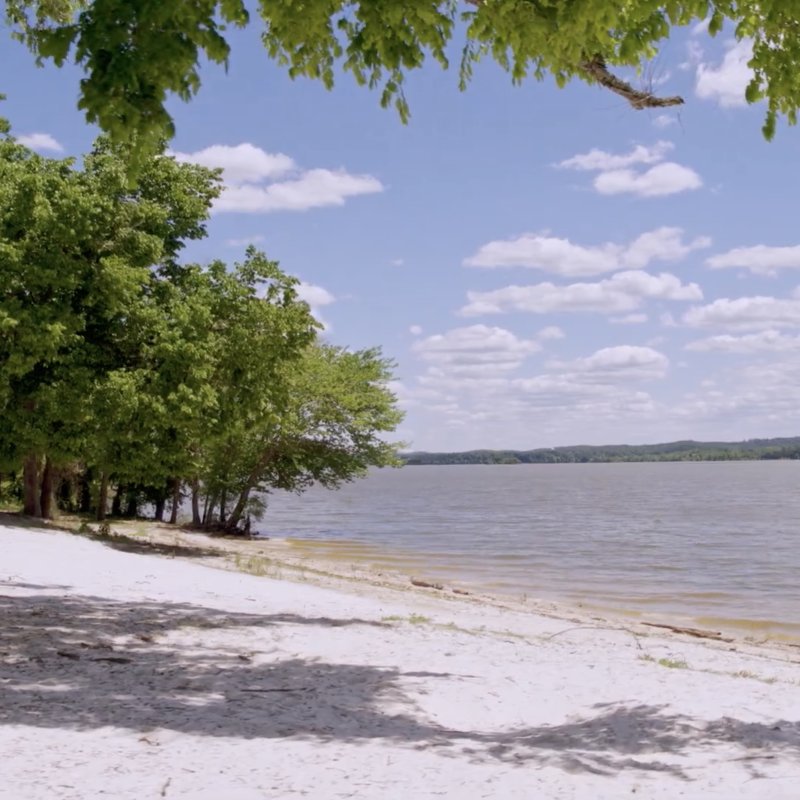 Sandy lakeshore lined with trees under a clear sky.