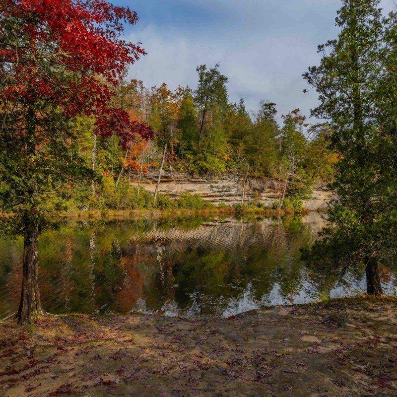 Autumnal forest scene with a reflective lake and colorful foliage.