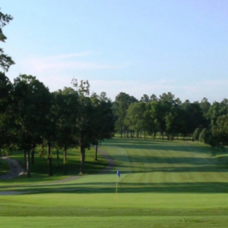 Sunlit golf course flanked by tall trees and manicured fairways.