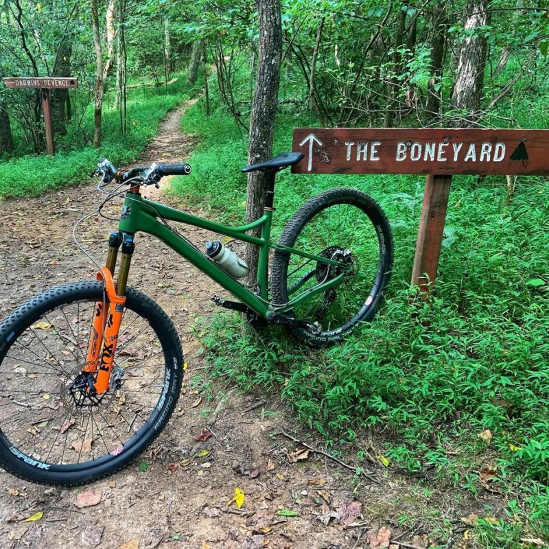 bike posted on a tree in a forest next to a wooden sign that says "the boneyard" and has a arrow pointing up.