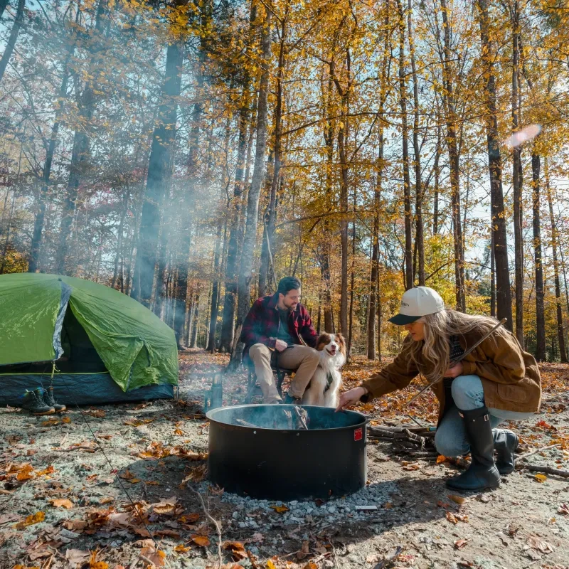 Two people and a dog by a campfire in a forest during autumn.