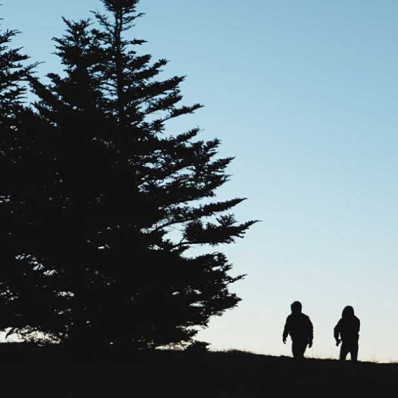 two dark silhouette's of people walking towards silhouette's of trees