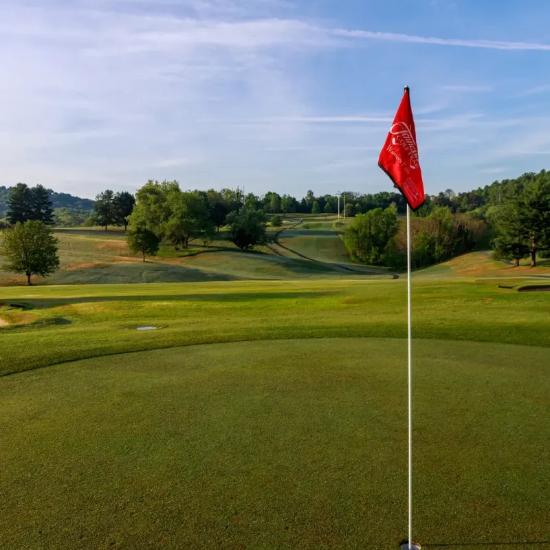 A bright red flag stands next to a hole on a golf course