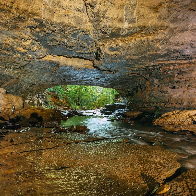 Head of the crow Buggytop Cave with a sream flowing through to the outside of the cave.
