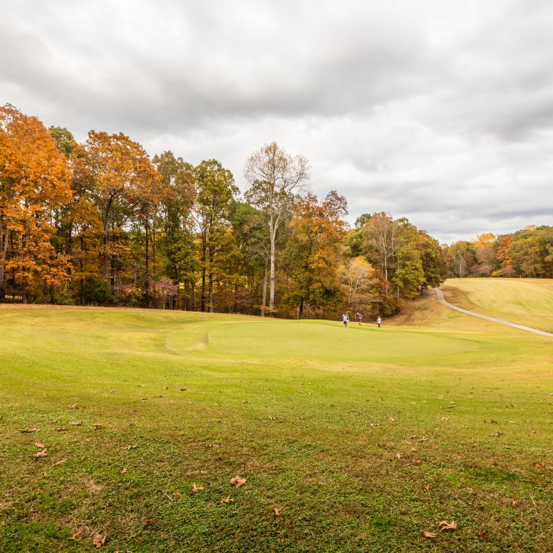 Autumn colors in a parks sprawling grassy field with trees.