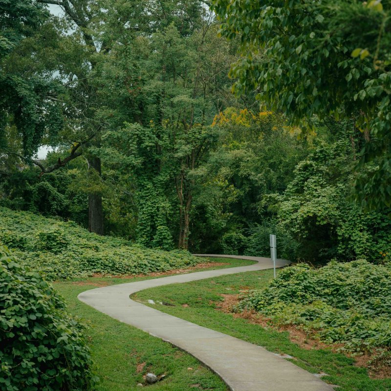 Winding path through a lush green park with dense trees.