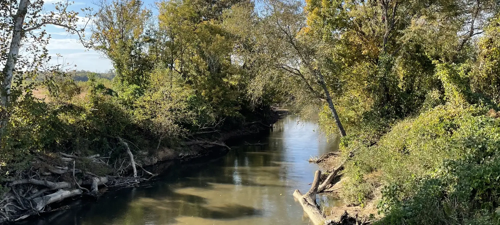 Serene river scene with trees and blue sky.