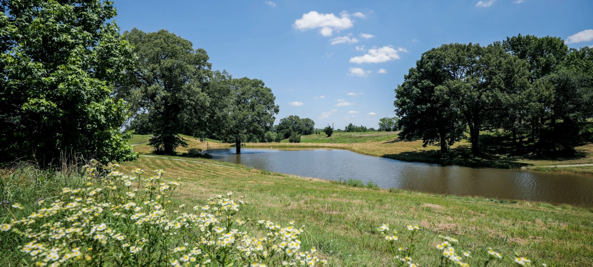 View of pond, flower, and trees at T O Fuller