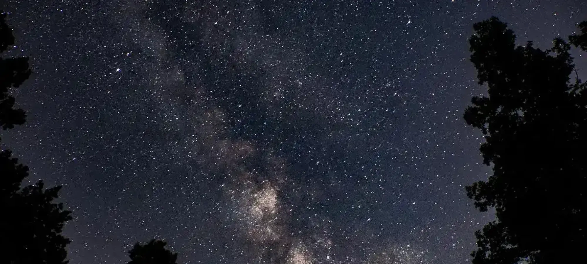 Starry sky with Milky Way and silhouetted trees.