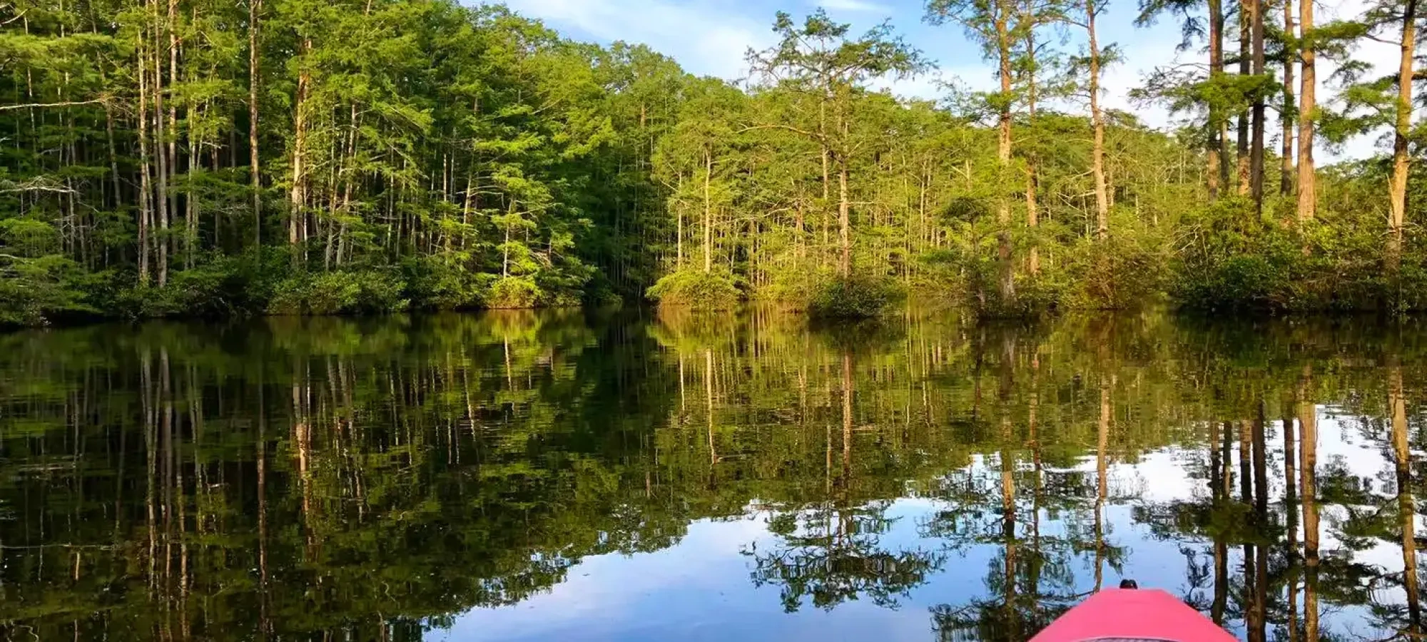 A vibrant pink kayak glides on a calm lake, bordered by lush green trees reflecting in the water, under a clear blue sky. Serene and tranquil scene.
