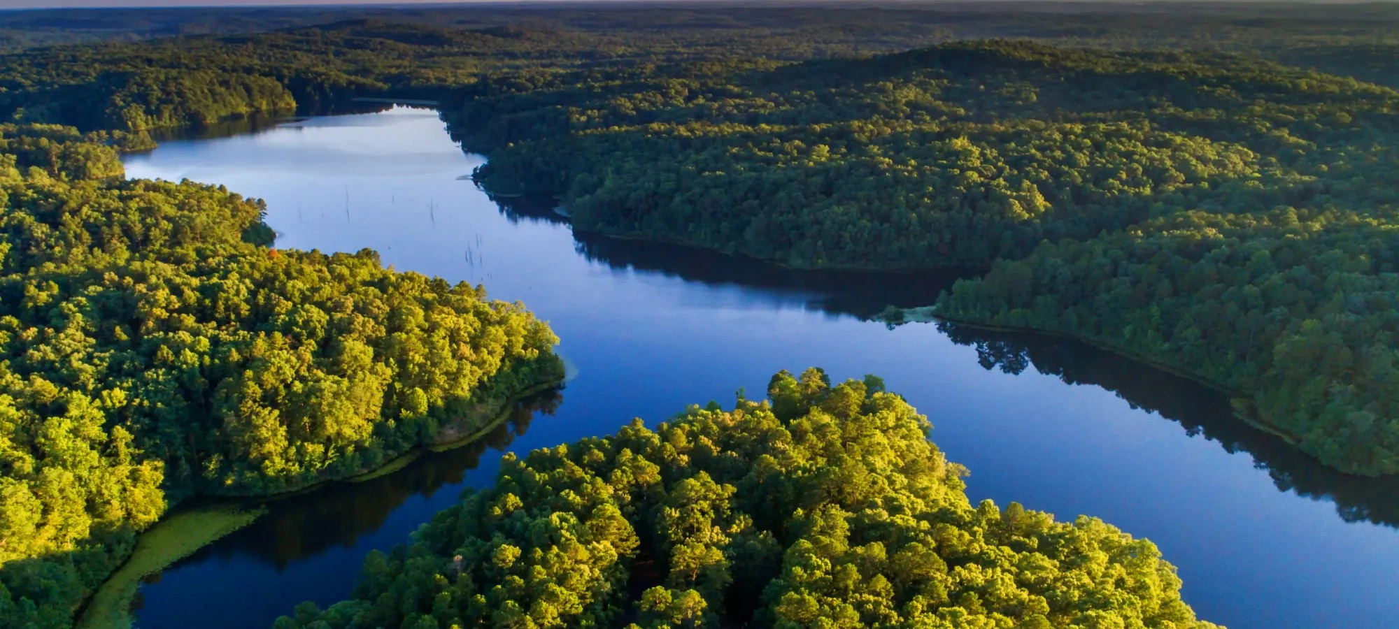 Aerial view of a lush green forest surrounding a serene, winding river under a clear sky. Sunlight casts warm tones, enhancing the tranquil atmosphere.