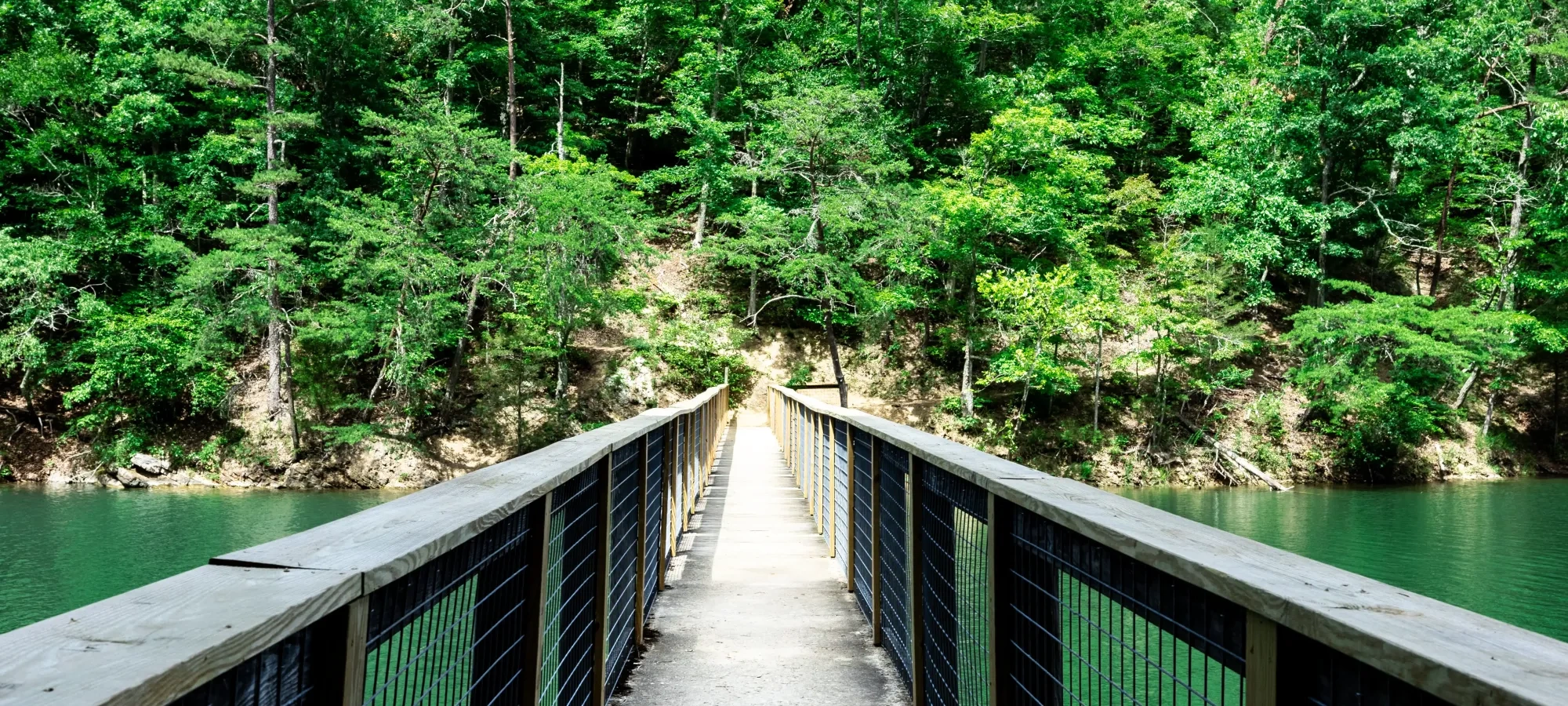 Bridge over water, leading to lush green forest under a blue sky.