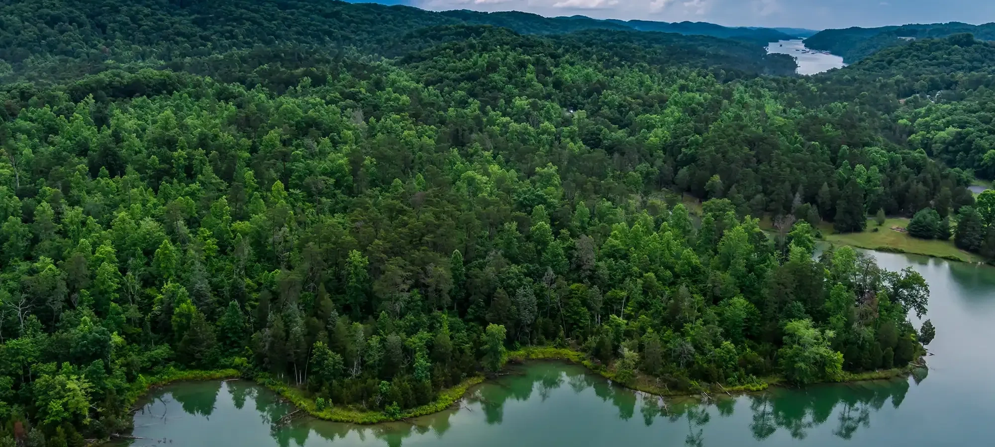 Aerial view of a lush, green forest bordered by a calm river under a dramatic, cloudy sky. Rolling hills fade into the distance, creating a serene atmosphere.