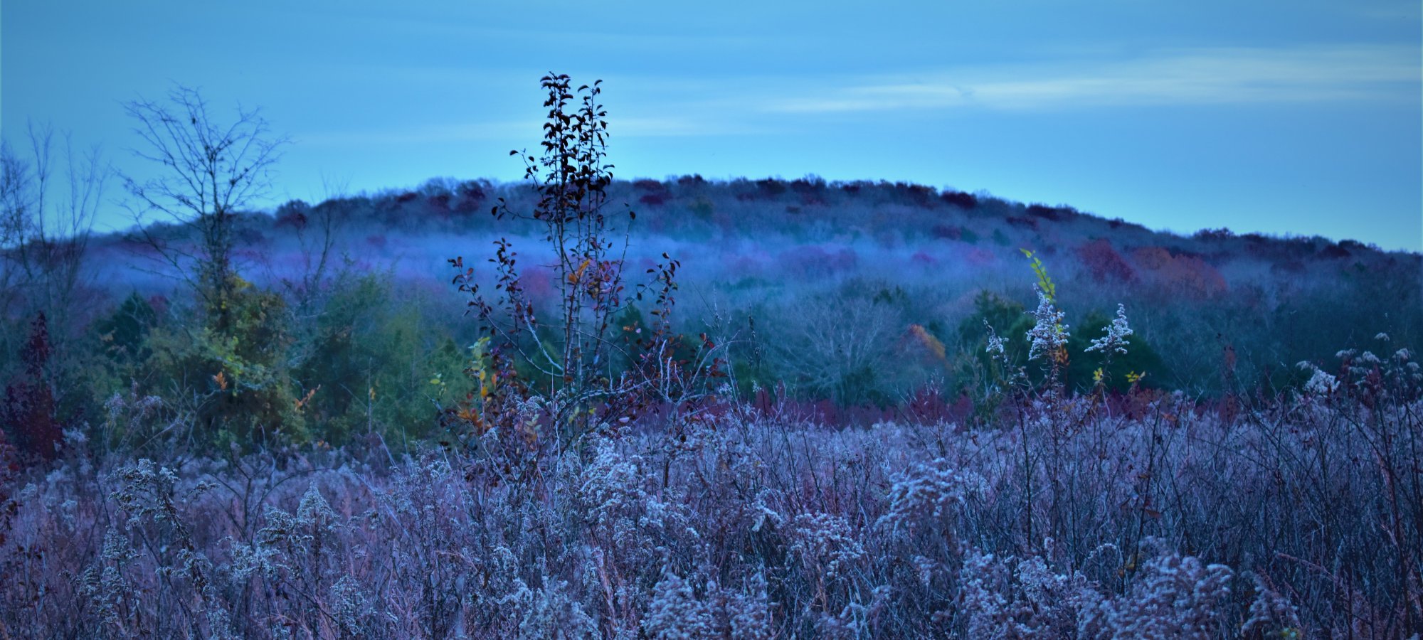 A serene landscape at dawn, with frost-covered grass in the foreground and a misty hill in the background.