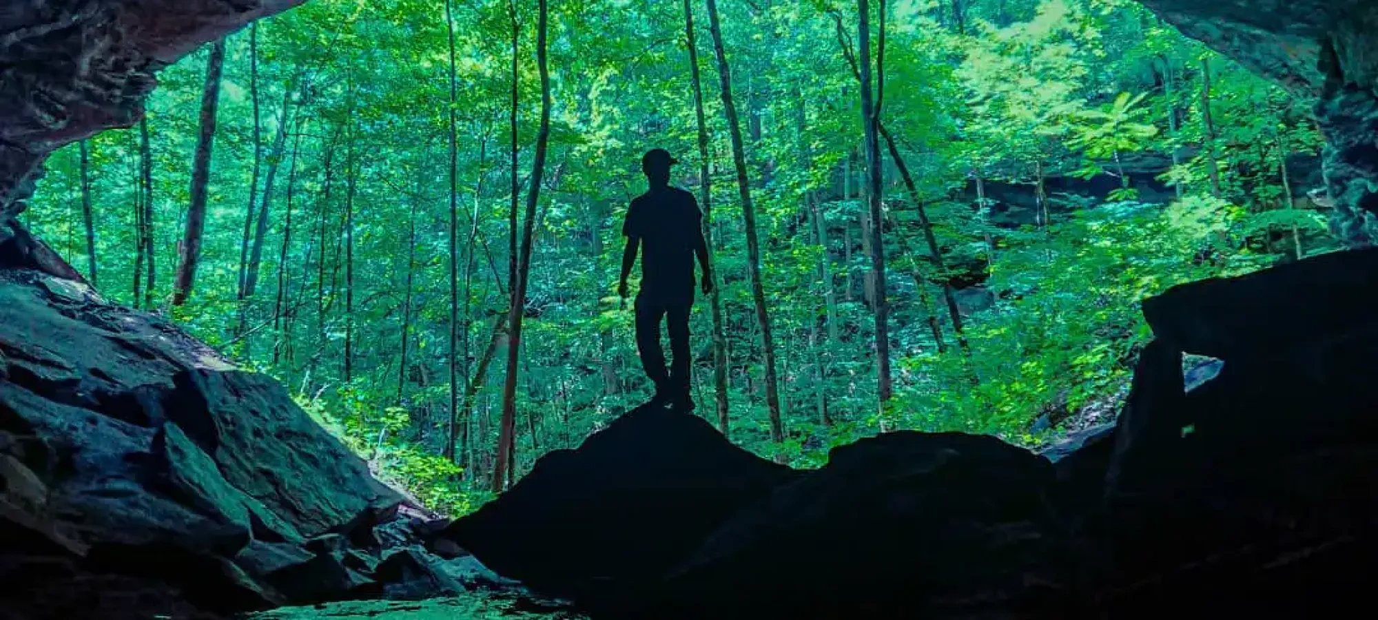 Silhouette of person in cave entrance with forest outside.