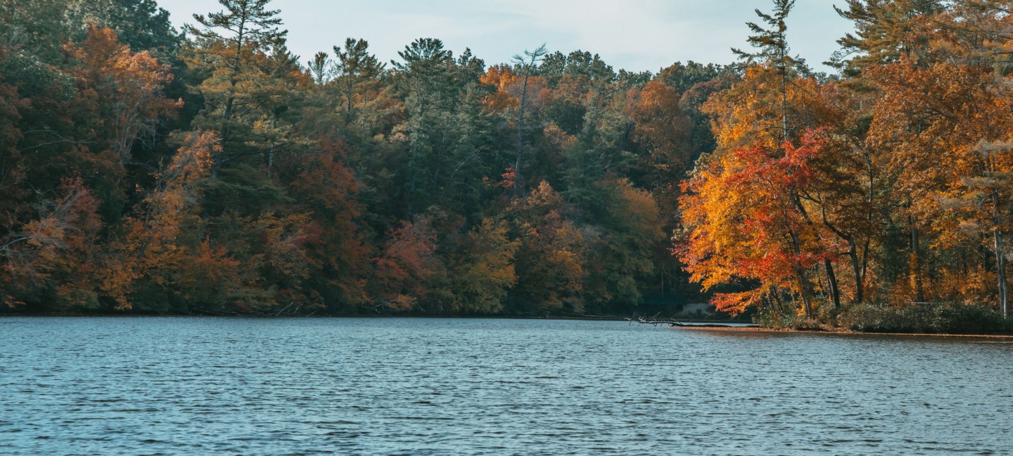A calm lake bordered by dense forest with trees displaying vibrant fall colors of red, orange, and yellow under a blue sky.