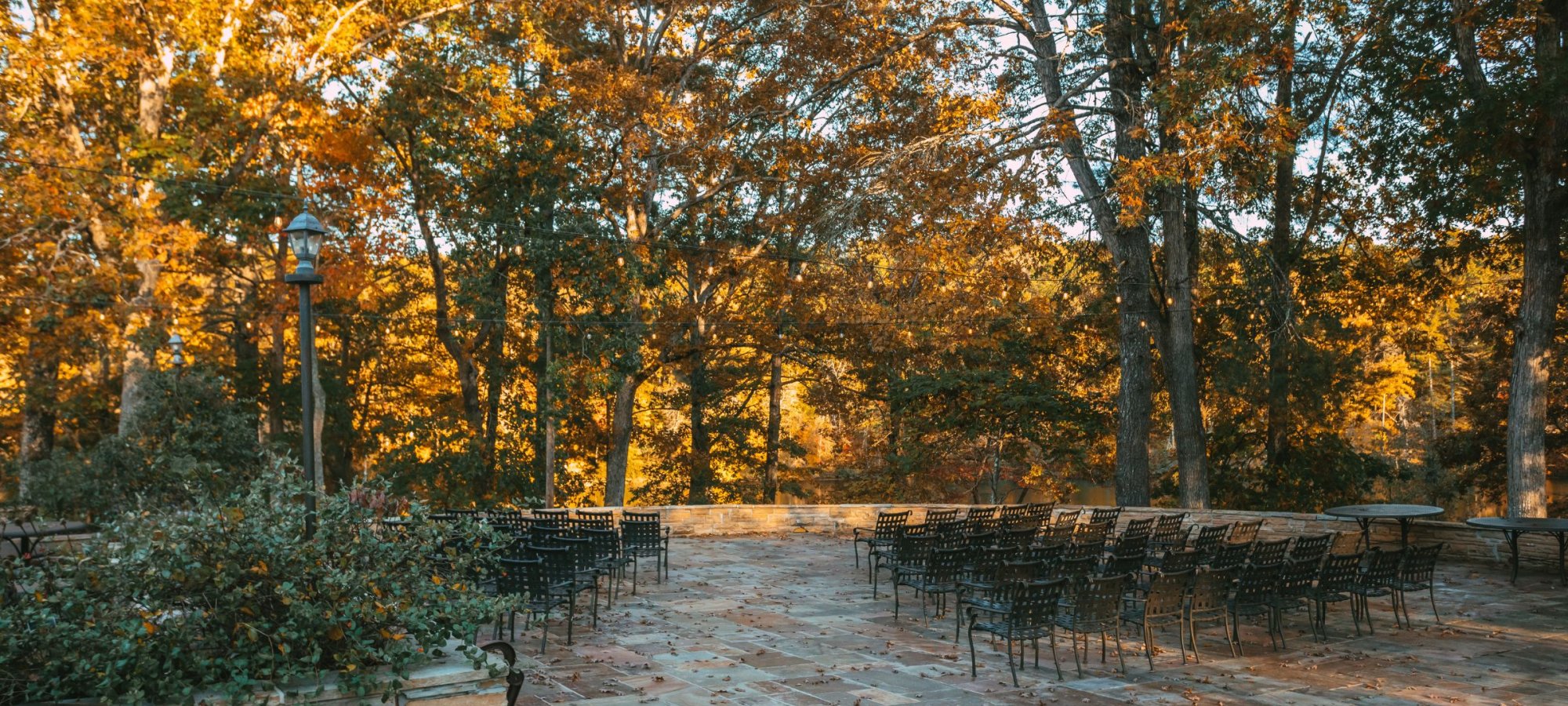 A stone patio with rows of black chairs overlooks a backdrop of tall trees in peak autumn color.