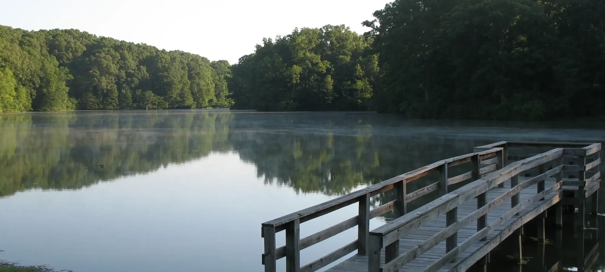 Wooden dock by a calm lake surrounded by lush green trees.