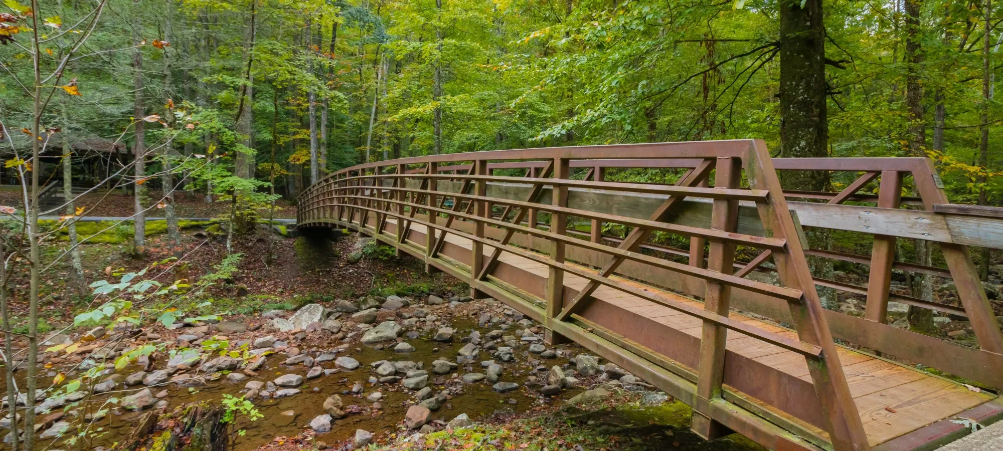 A wooden footbridge spans a rocky creek in a lush forest, with vibrant green leaves suggesting early autumn. The scene feels serene and inviting.