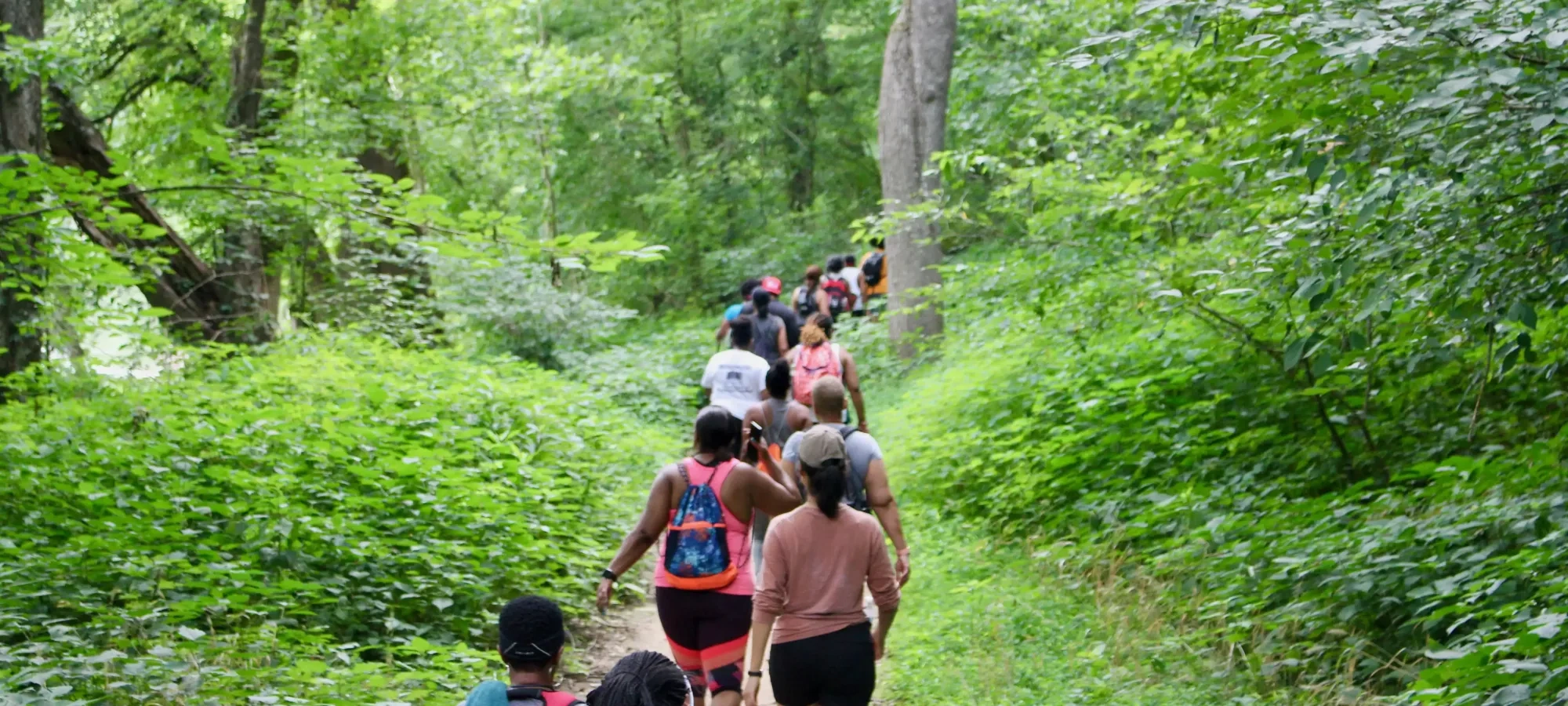 A group of people hike along a lush, narrow forest trail surrounded by vibrant green foliage. The scene conveys a sense of adventure and camaraderie.