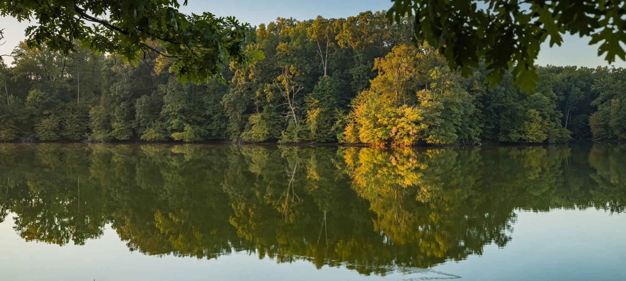 Calm lake reflecting a forest with green and yellow foliage under a clear sky.