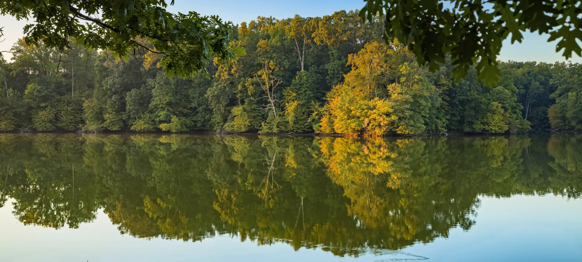 Serene lake scene with a clear reflection of lush, green trees under a bright blue sky, framed by overhanging branches. Peaceful and natural setting.