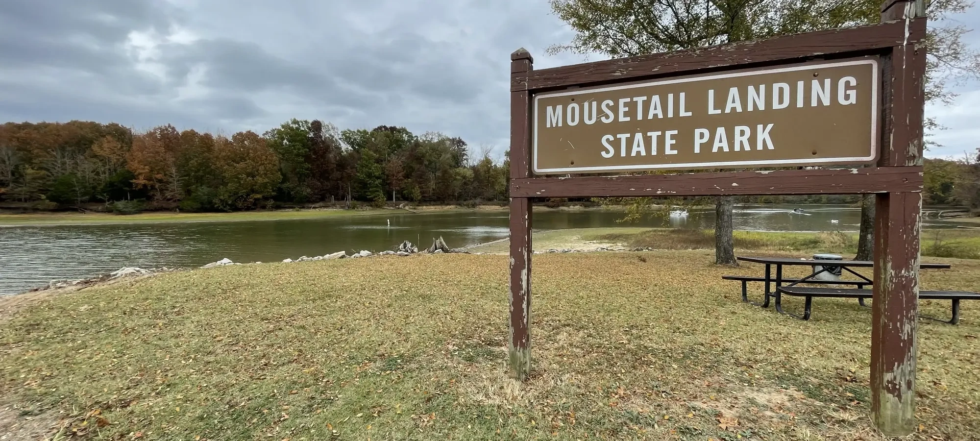 A wooden park sign reading “Mousetail Landing State Park” stands on a grassy area near the water’s edge.
