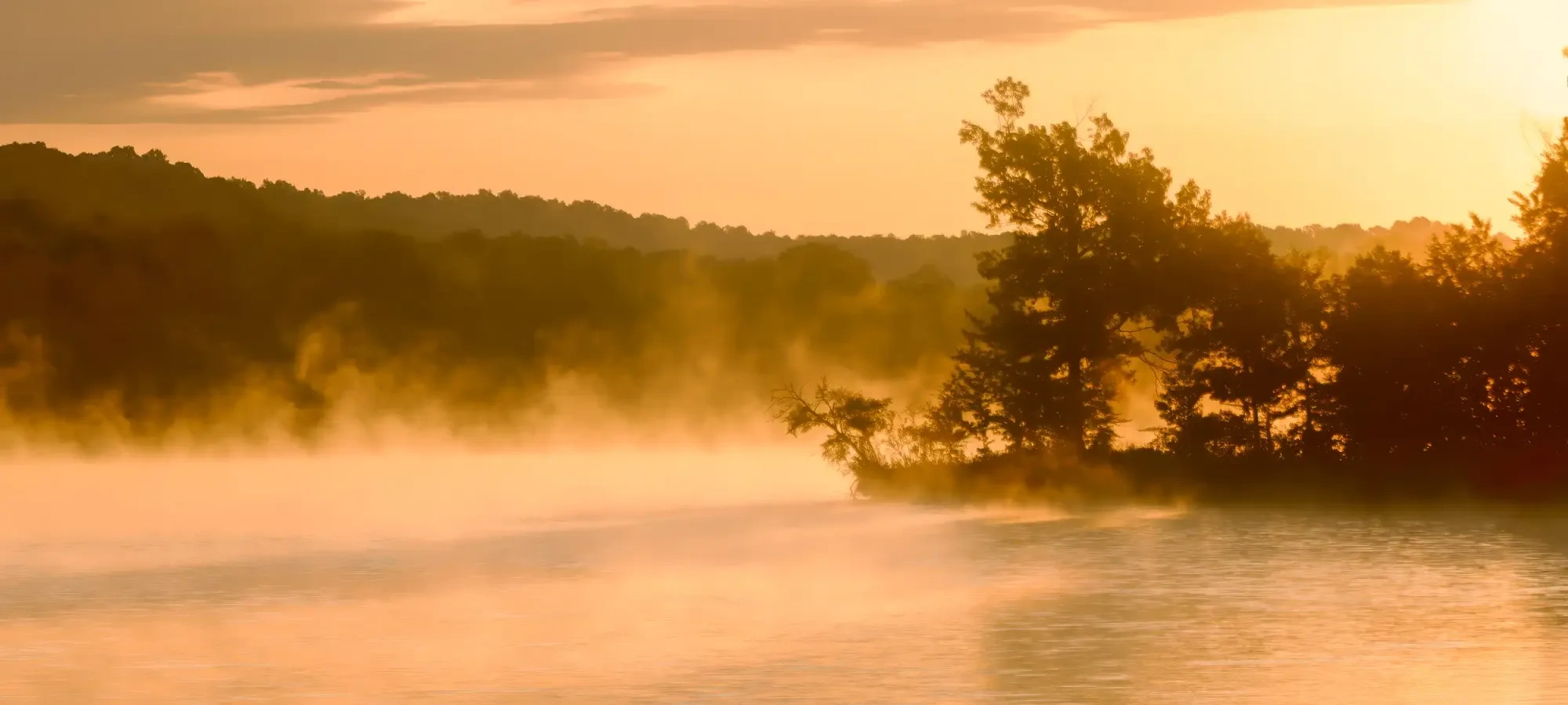 A glowing sunrise over a misty lake, with silhouetted trees along the shoreline.