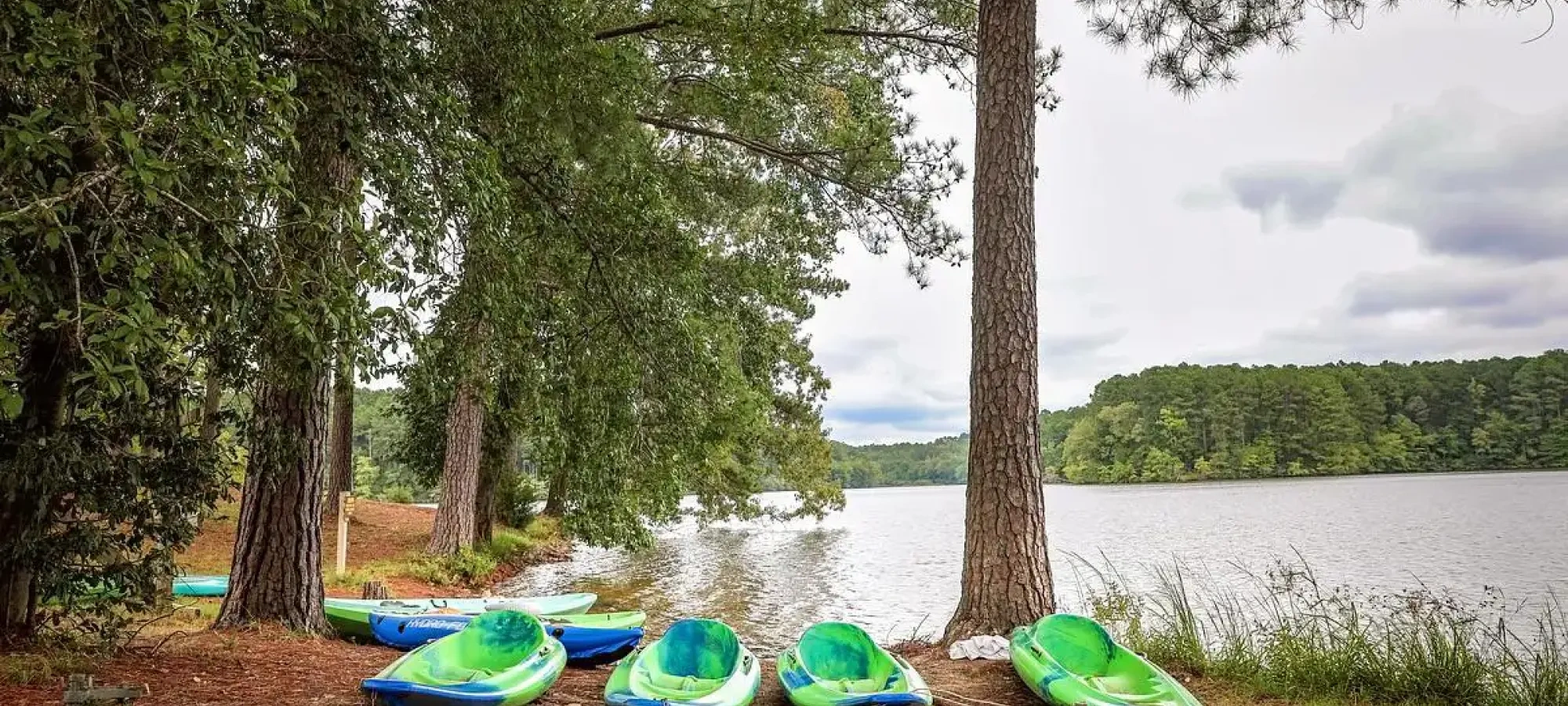 Two kayaks pulled up on the grassy shore near the lake.