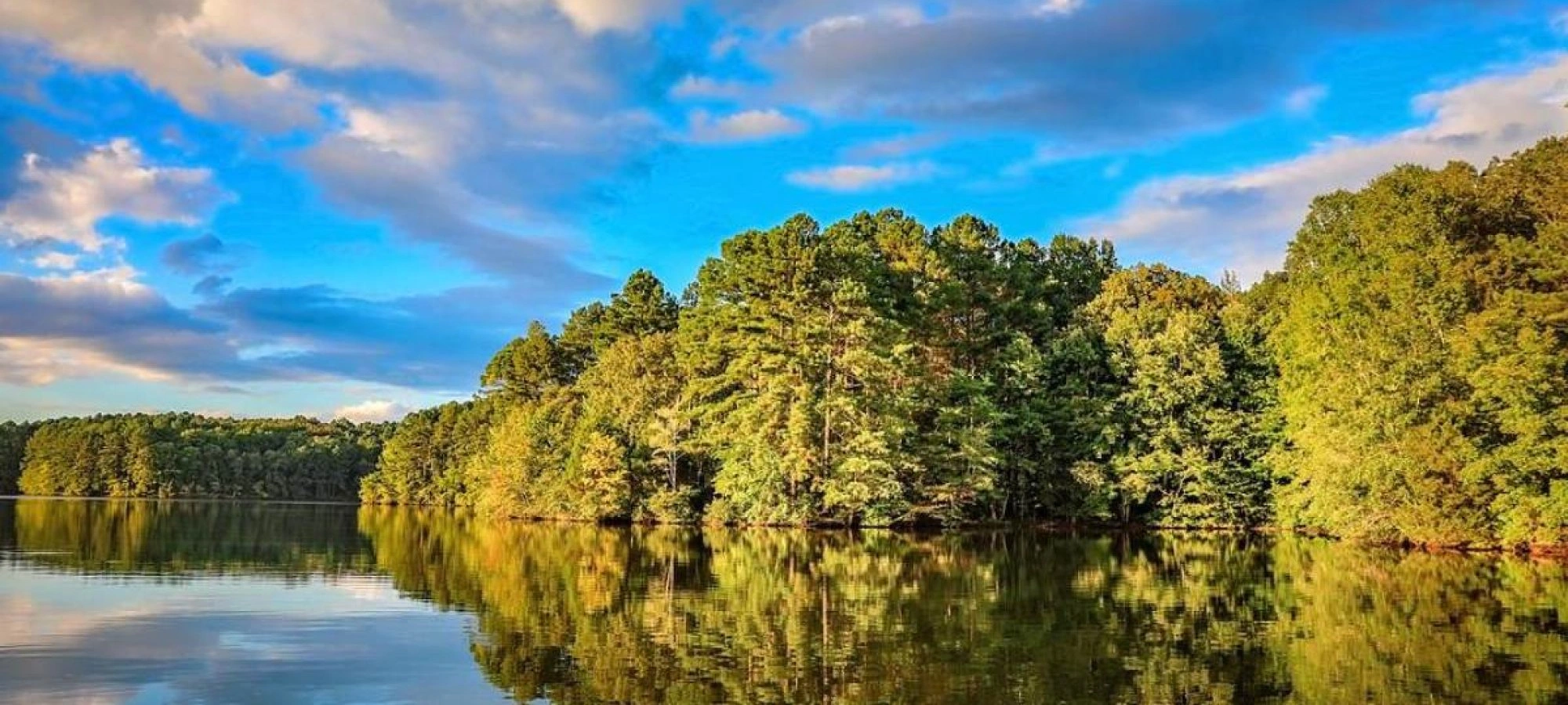 Scenic view of the lake with tree-lined shores.