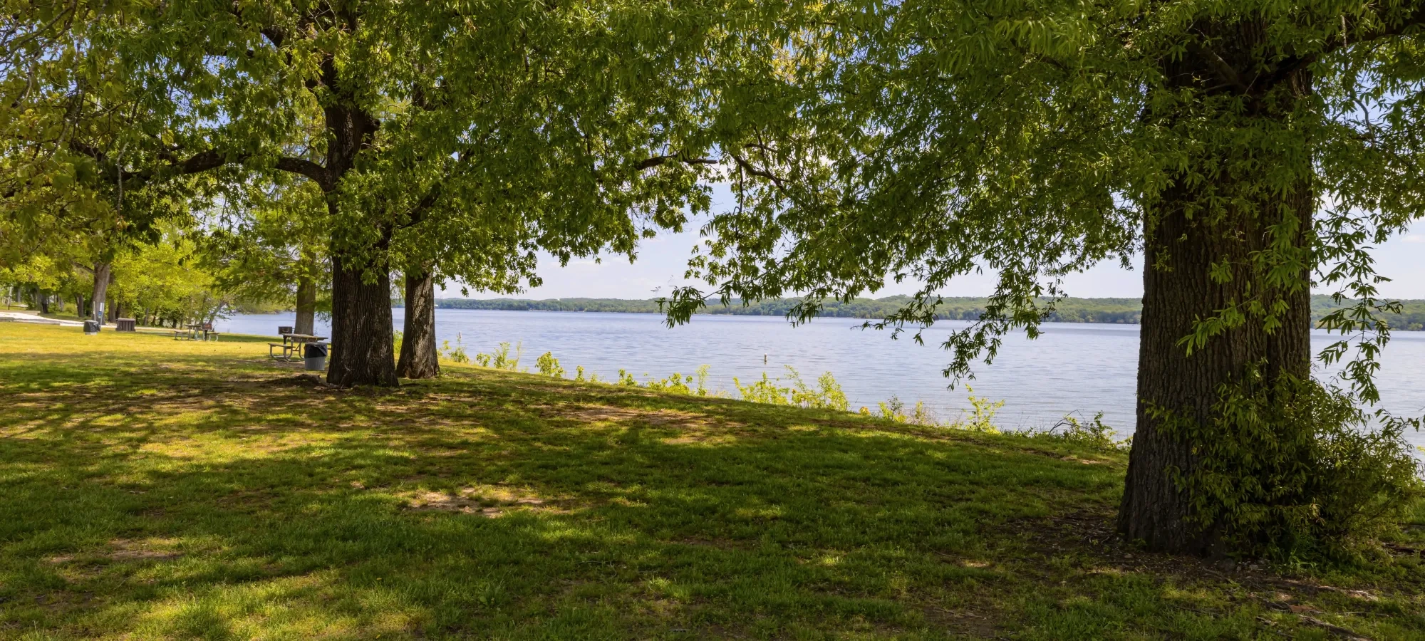 Shaded grassy area with large trees by a tranquil lake.