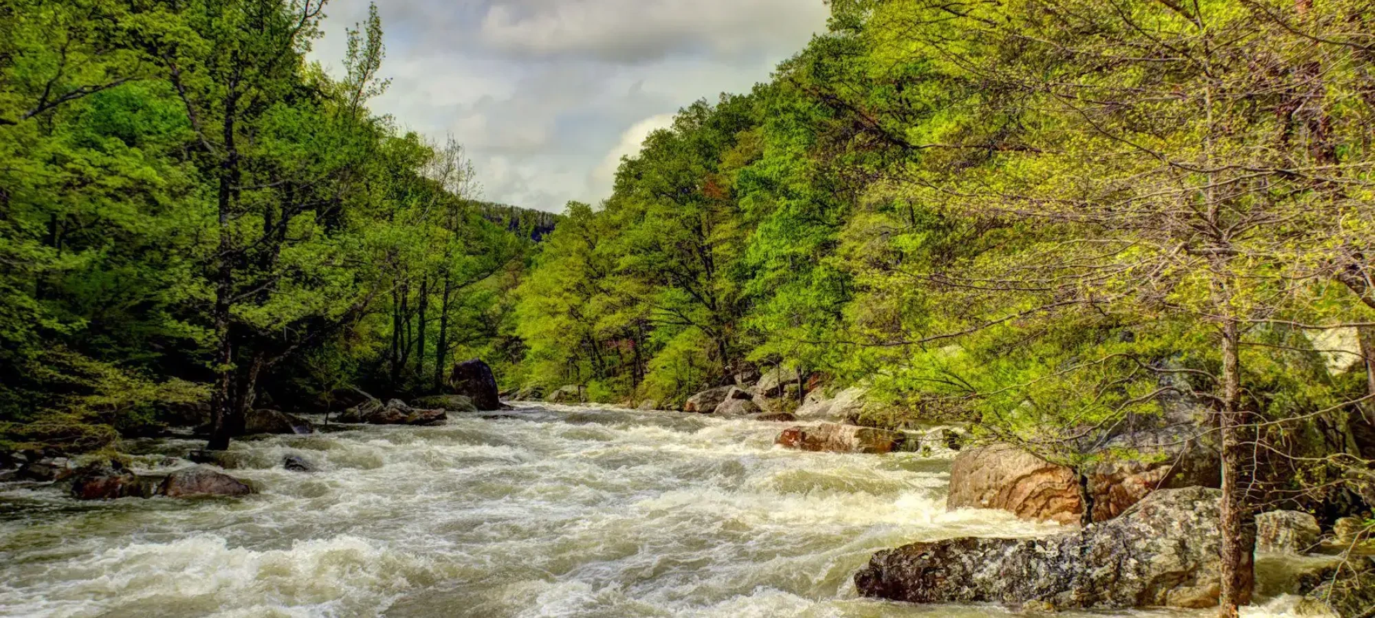 Flowing river with lush green trees and rocks on a cloudy day.