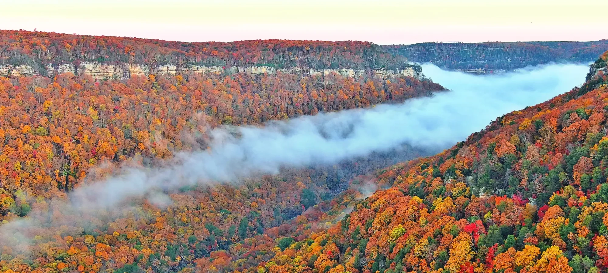 Autumn forest landscape with colorful foliage and mist in a valley.