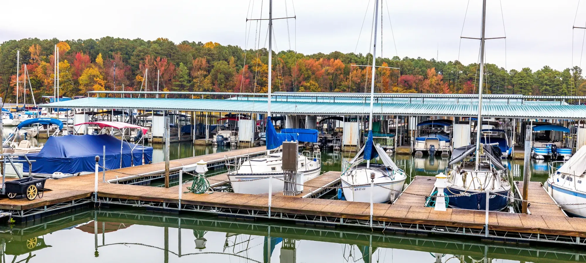 Boats docked at a marina with autumn trees in the background.