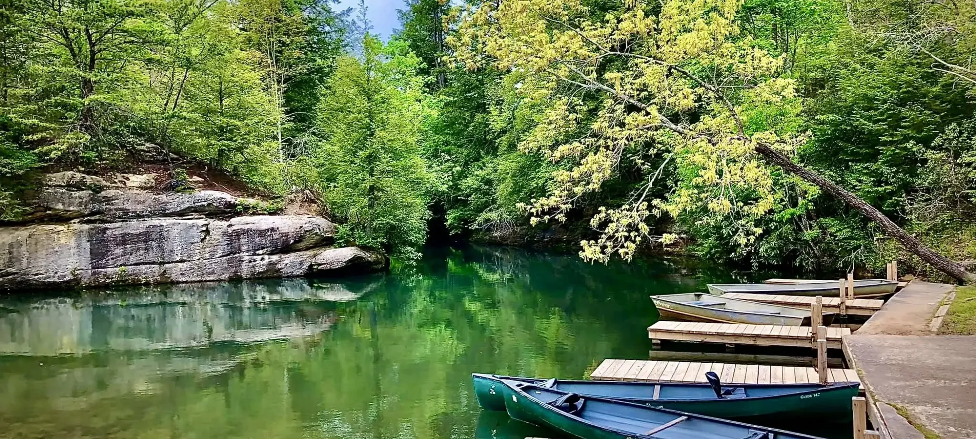 Canoes docked on a serene lake surrounded by lush green forest.