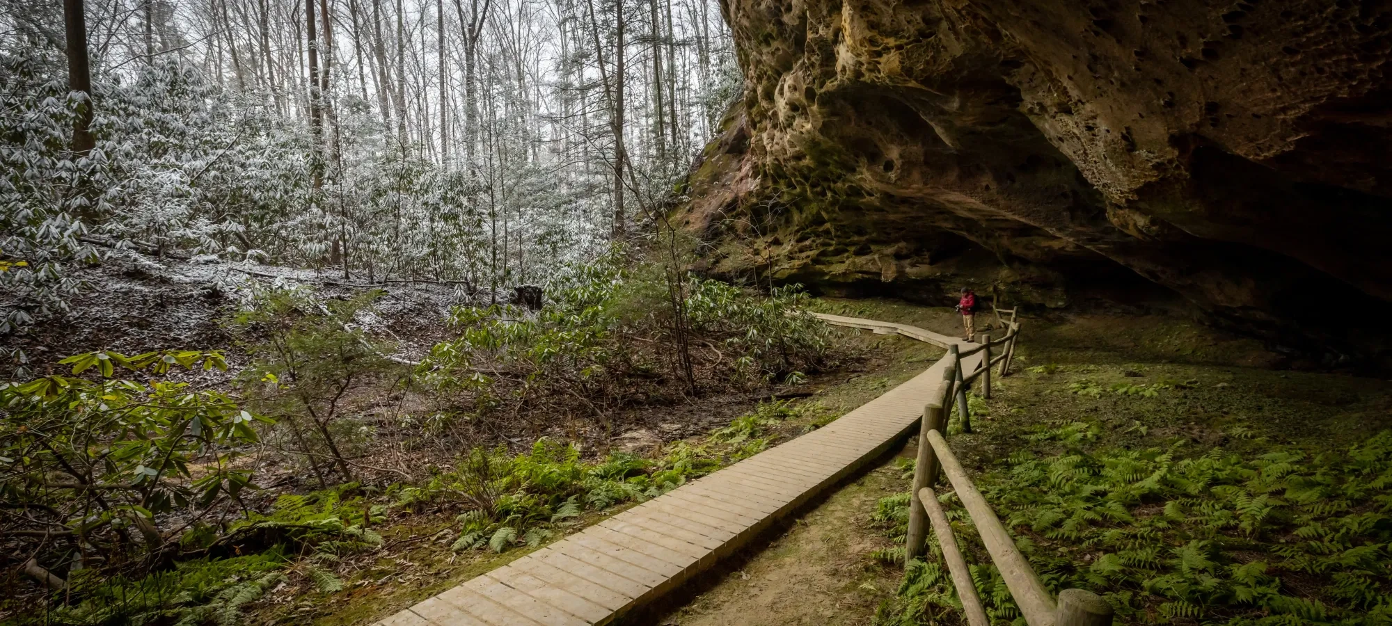 Wooden path through forest beneath rock overhang, hiker in distance.