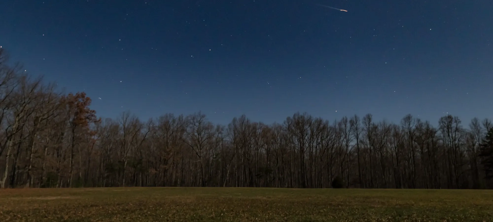 Night sky with stars over treeline and open field.