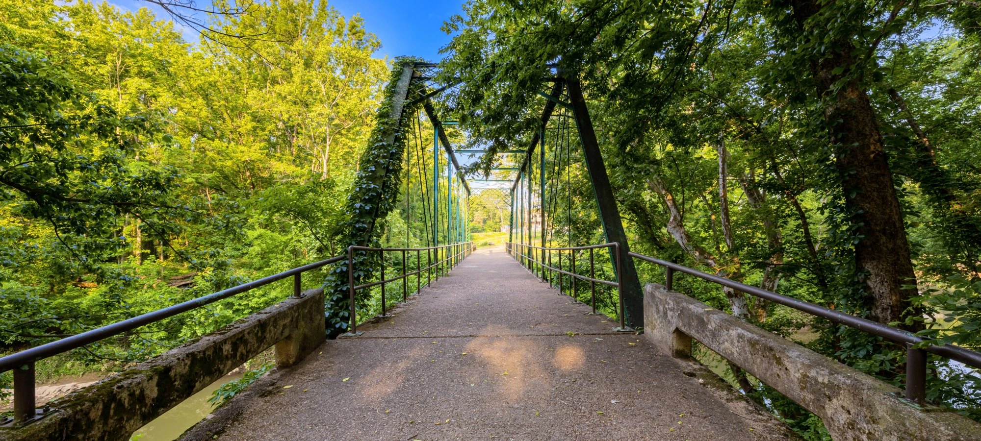 Footbridge with railings surrounded by lush green trees under a blue sky.