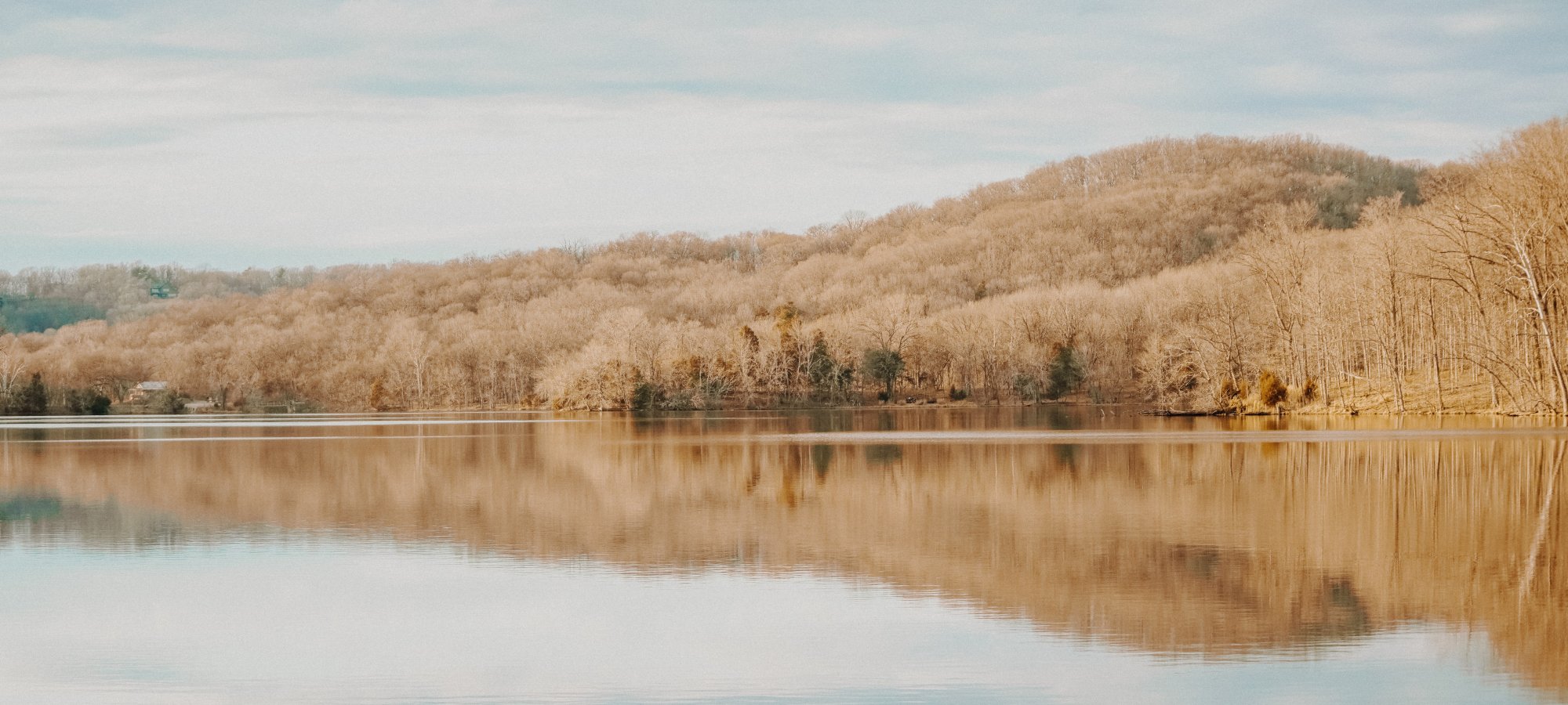 radnor lake in the winter with bare treeline and calm lake view