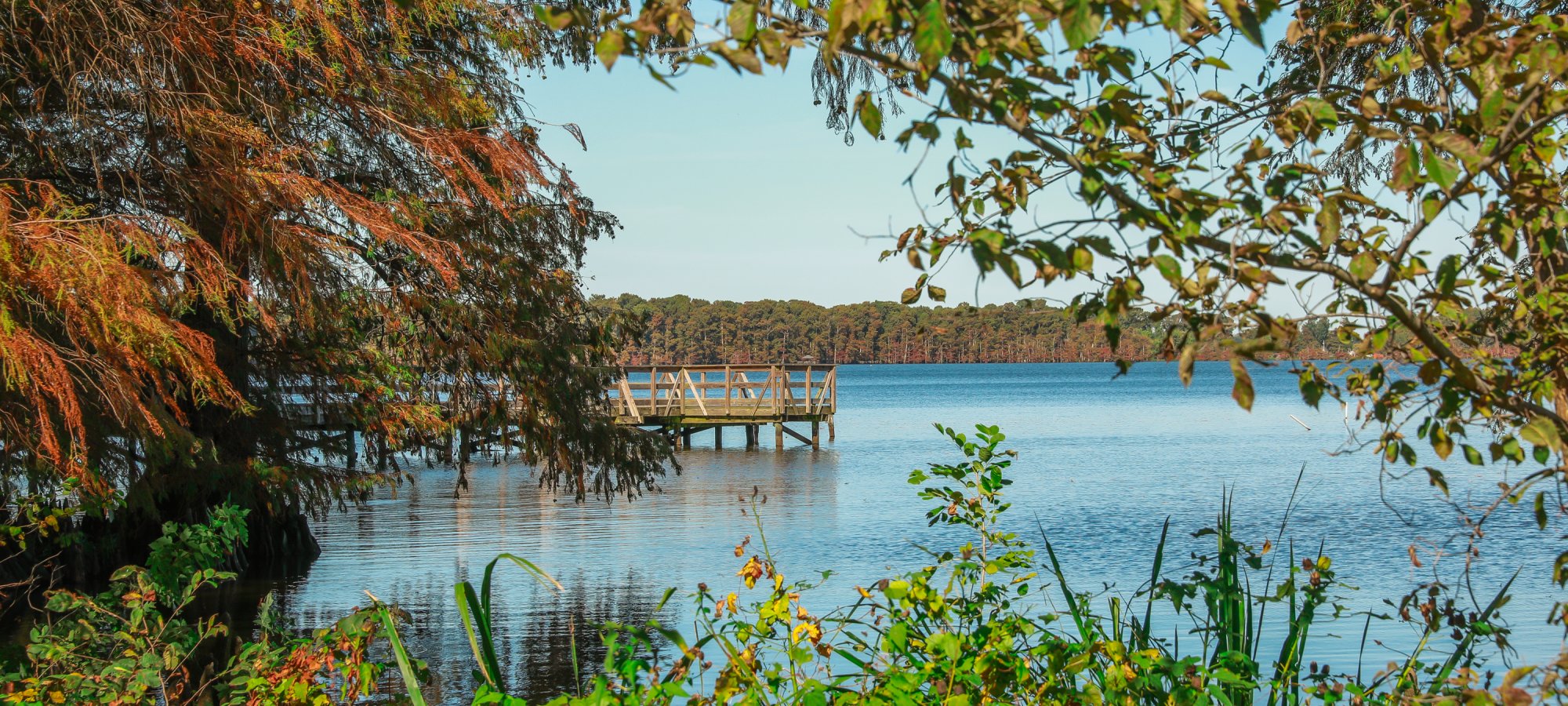 Tranquil lake scene with a wooden dock in the distance, surrounded by lush green foliage and trees under a clear blue sky, conveying serenity.