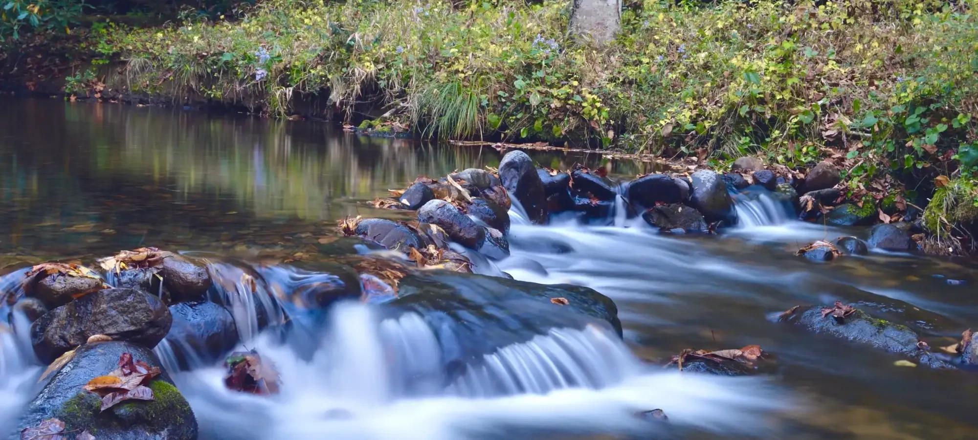 Flowing stream with rocks and autumn leaves in a forest setting.
