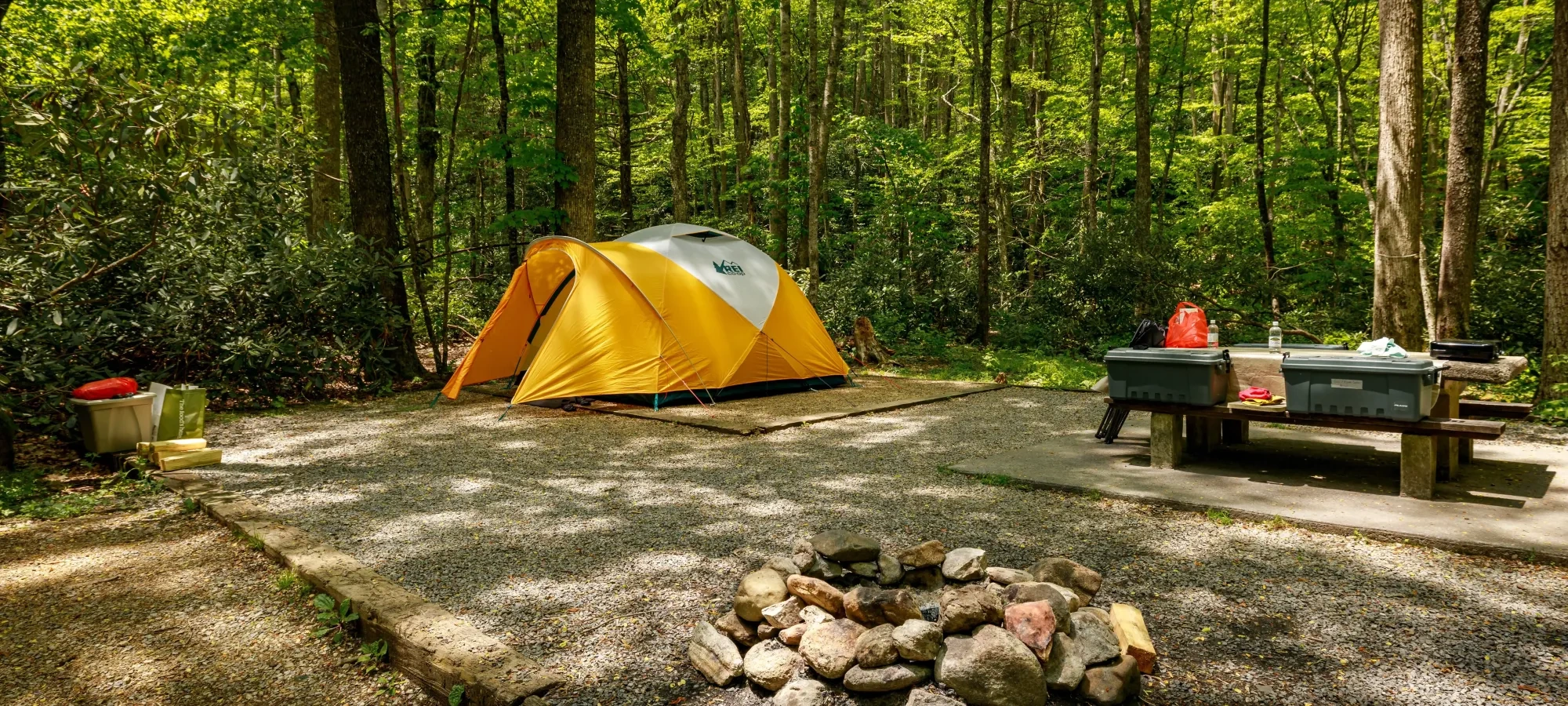 Green and gray tent pitched in a grassy campsite at Roan Mountain.
