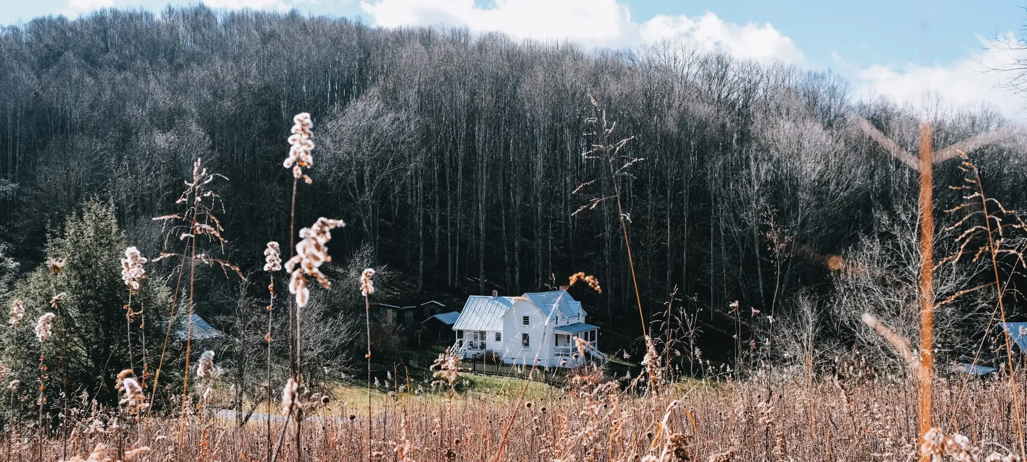 Aerial view of Miller Farmstead at Roan Mountain with surrounding fields and forest.