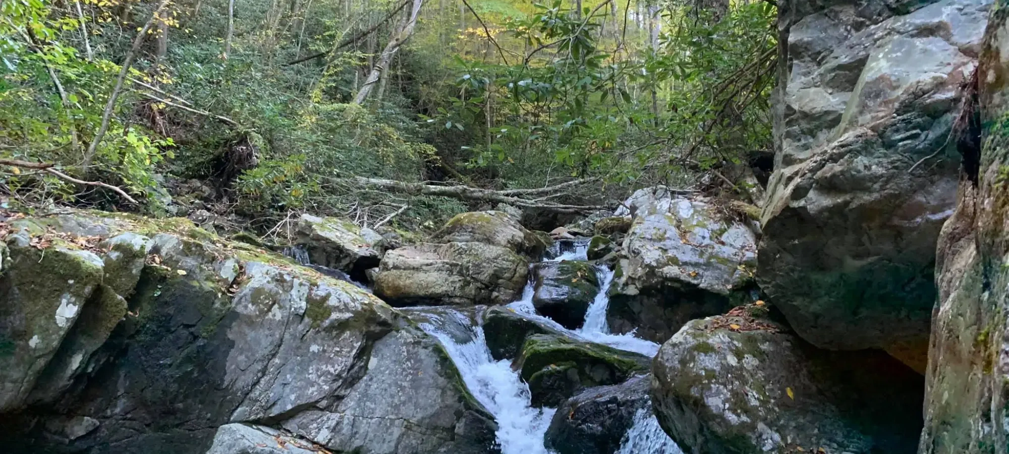 Waterfall running between mossy rocks, surrounded by trees with yellow leaves.