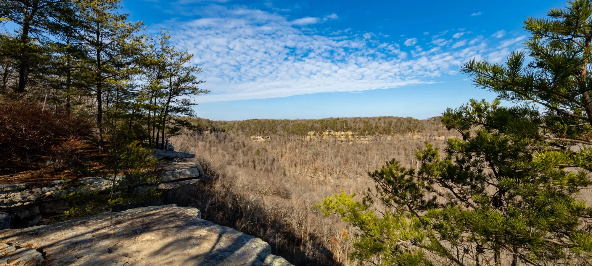 A scenic landscape with rocky cliffs in the foreground, surrounded by pine trees. The background features a vast, wooded valley under a bright blue sky.